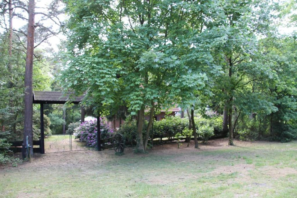 Ferienhaus Am Waldesrand Hatten Exteriér fotografie