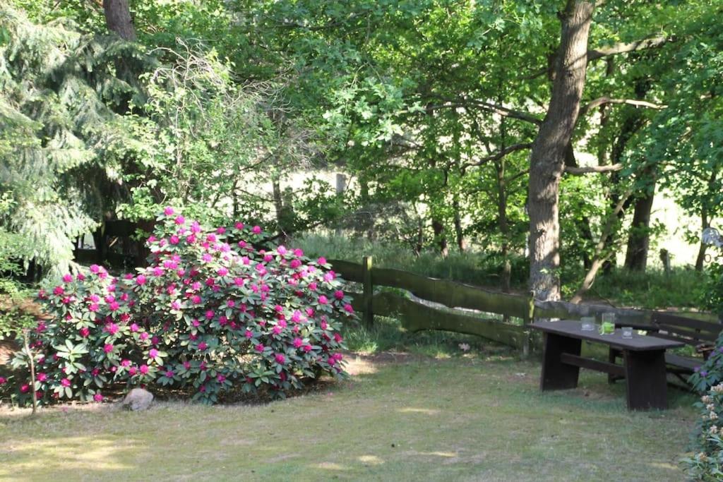 Ferienhaus Am Waldesrand Hatten Exteriér fotografie